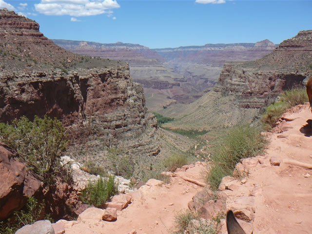 images/C-Mule Ride- returning to the Rim. (3).jpg